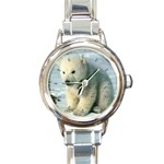 Polar Bear Cub Round Italian Charm Watch