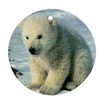 Polar Bear Cub Ornament (Round)