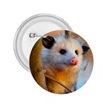 Possum 2.25  Button