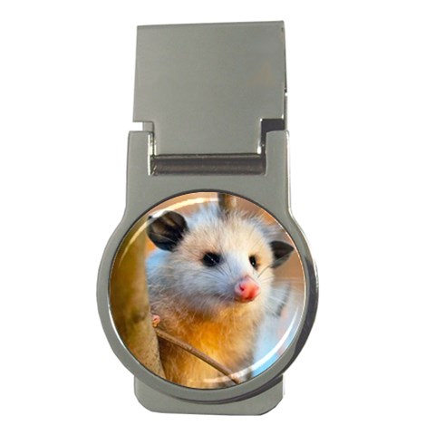 Possum Money Clip (Round) from ArtsNow.com Front