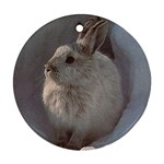 Rabbit Ornament (Round)