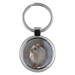 Rabbit Key Chain (Round)