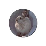 Rabbit Rubber Round Coaster (4 pack)