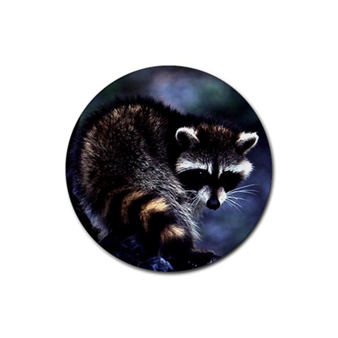 Raccoon Rubber Round Coaster (4 pack) from ArtsNow.com Front