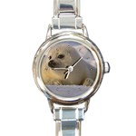 Seal Pup Round Italian Charm Watch