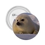 Seal Pup 2.25  Button