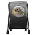 Seal Pup Pen Holder Desk Clock