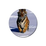 Siberian Tiger Rubber Round Coaster (4 pack)