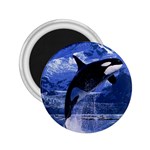 Orca Killer Whale 2.25  Magnet