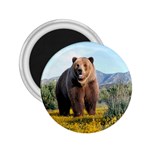 Grizzly Bear 2.25  Magnet