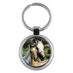 Horse And Colt Key Chain (Round)