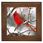 Cardinal Red Bird Framed Tile