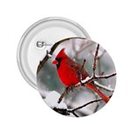 Cardinal Red Bird 2.25  Button