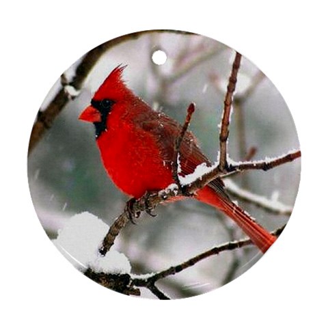 Cardinal Red Bird Ornament (Round) from ArtsNow.com Front