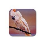 Cockatoo Parrots Rubber Square Coaster (4 pack)