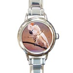 Cockatoo Parrots Round Italian Charm Watch