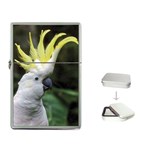 Cockatoo Parrots Flip Top Lighter