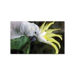 Cockatoo Parrots Sticker (Rectangular)