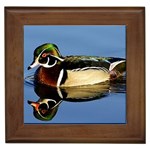 Duck Framed Tile