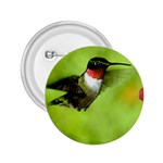 Humming Bird 2.25  Button