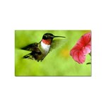 Humming Bird Sticker (Rectangular)