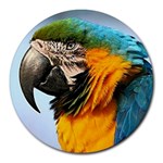 Macaw Parrot Round Mousepad