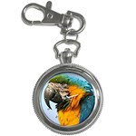 Macaw Parrot Key Chain Watch