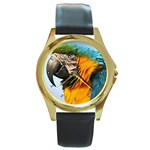 Macaw Parrot Round Gold Metal Watch