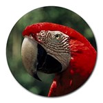 Macaw Parrot Round Mousepad