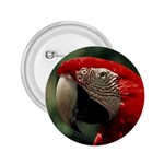 Macaw Parrot 2.25  Button