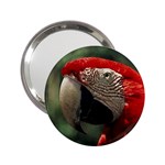 Macaw Parrot 2.25  Handbag Mirror