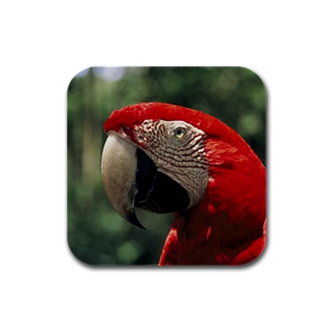 Macaw Parrot Rubber Square Coaster (4 pack) from ArtsNow.com Front