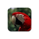 Macaw Parrot Rubber Square Coaster (4 pack)