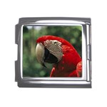 Macaw Parrot Mega Link Italian Charm (18mm)