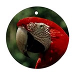 Macaw Parrot Ornament (Round)