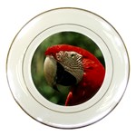 Macaw Parrot Porcelain Plate