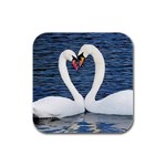 Swans Rubber Square Coaster (4 pack)