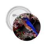 Blue Bird 2.25  Button