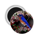 Blue Bird 2.25  Magnet