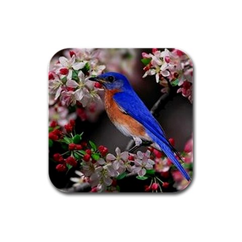 Blue Bird Rubber Square Coaster (4 pack) from ArtsNow.com Front