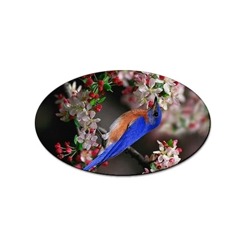 Blue Bird Sticker (Oval) from ArtsNow.com Front