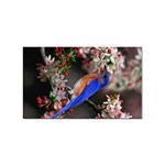 Blue Bird Sticker (Rectangular)