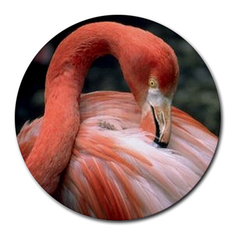 Flamingo Round Mousepad from ArtsNow.com Front