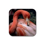 Flamingo Rubber Square Coaster (4 pack)