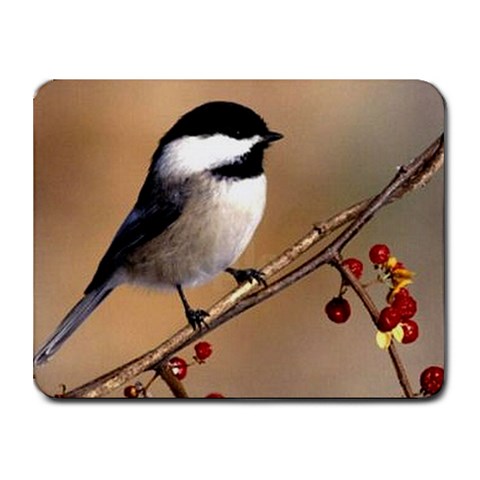 Chickadee Small Mousepad from ArtsNow.com Front