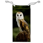 Owl Jewelry Bag