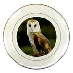 Owl Porcelain Plate