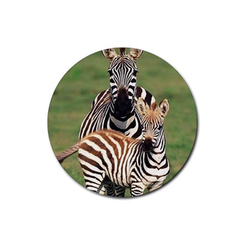 Zebra Rubber Round Coaster (4 pack) from ArtsNow.com Front