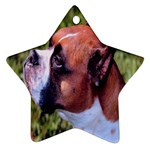 boxer Ornament (Star)
