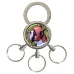 boxer 3-Ring Key Chain